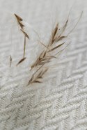 Chusta kółkowa do noszenia dzieci, tkana splotem jodełkowym, bawełna, ramię bez zakładek - MAŁA JODEŁKA LUCE - standard 1.8m